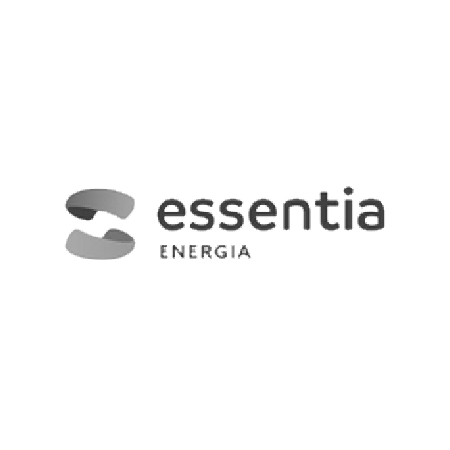 essentia